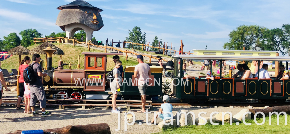 Rail Trains brown colours